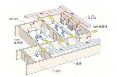 实验室规划一定要做好通风措施